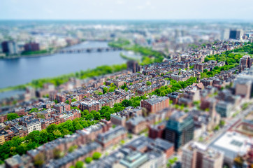 Wall Mural - Aerial View of the Back Bay district, Boston, USA. Tilt-shift effect applied