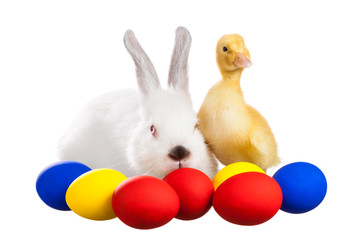 Poster - Rabbit and duckling with Easter eggs