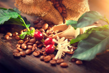 Coffee Beans, Coffee Flowers And Leaves On Wooden Table