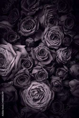 Vintage roses background