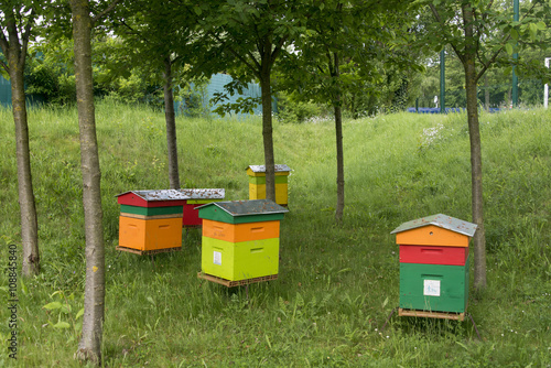 Ruche Abeille Parc Du Grand Godet Villeneuve Le Roi 94 Val De Marne Buy This Stock Photo And Explore Similar Images At Adobe Stock Adobe Stock Ruche Abeille Parc Du Grand Godet Villeneuve Le Roi 94 Val De Marne Buy This Stock Photo And Explore Similar Images At Adobe Stock Adobe Stock