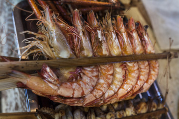 Shrimps in a asian market