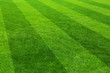 © Africa Studio - Football field stadium background