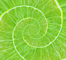 Spiral Background Made Of Juicy Lime
