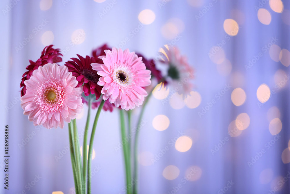 Bouquet of gerbers on blurred garland light background, closeup