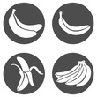 Vector Set of Circle Banana Icons.