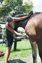 Woman Grooming Horse