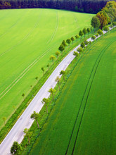 Green Grain Fields, Trees Alley And Road From The Top View