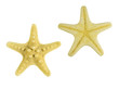 © yelantsevv - yellow starfish isolated on white background view from above