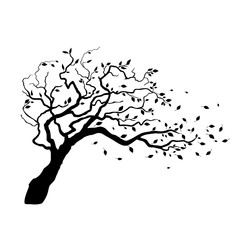 tree in wind with flying leaves