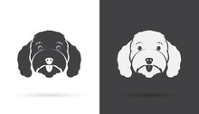Vector Image Of An Dog Poodle Face On White Background And Black