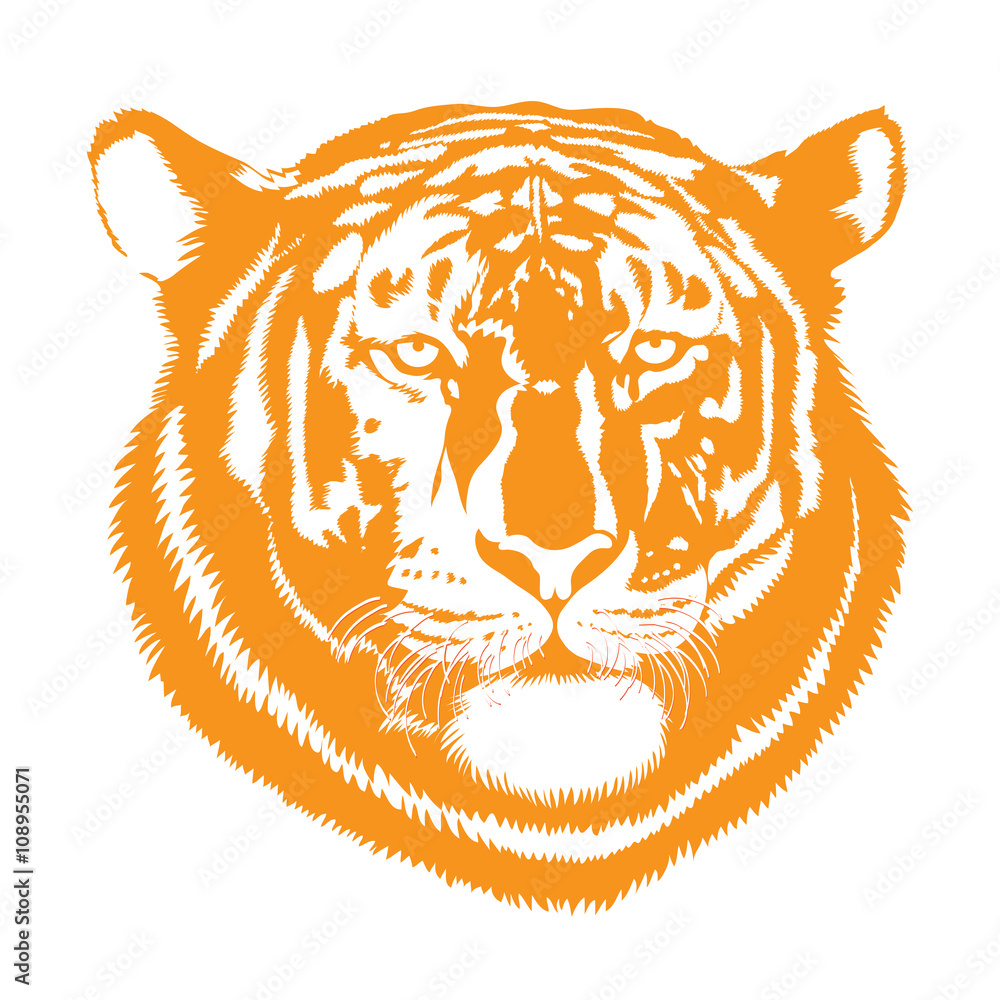 Tiger Kopf Zum Ausmalen