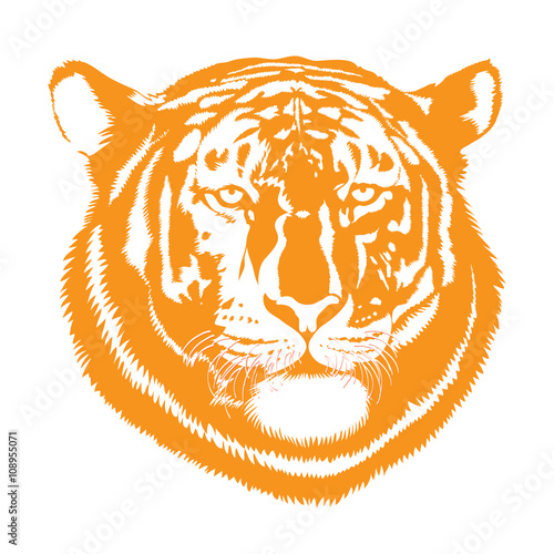 Orange Tiger Head Canvas Print