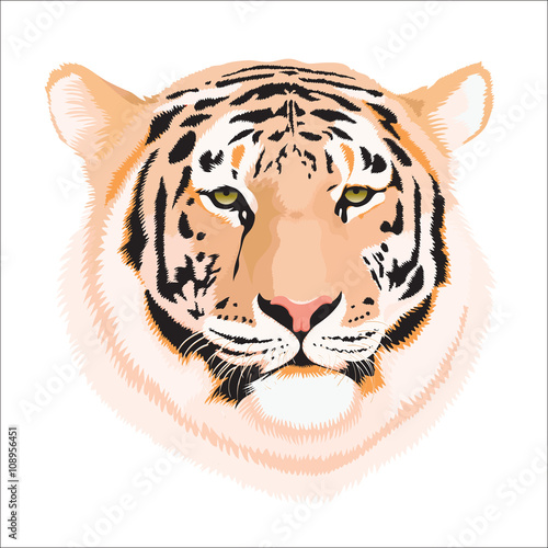 Tiger Head Wallpaper Mural