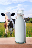 Fototapeta Sport - Bottle of milk with cows on the background