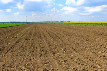 Sticker - Plowed field in spring time