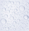 © Anton Shpak - Water drops. Realistic vector illustration.