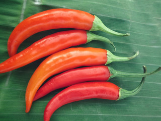 Poster - Red chili