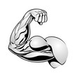 Bicep in pose. Illustration showing arm muscles flexing in black and white
