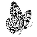 Fototapeta Motyle - Vintage butterfly ornamental seamless pattern. Vector.