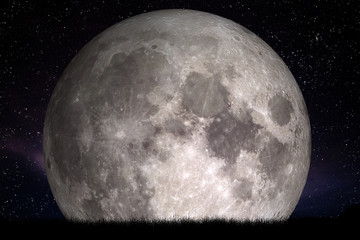 Wall Mural - Full moon at night. Grass in the foreground. Perfect for background, copy-space