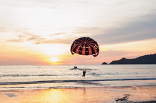 Some People With Parachute Sport Extreme In Twilight
