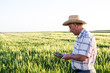 © Zoran Zeremski - Senior farmer in a field examining wheat crop.