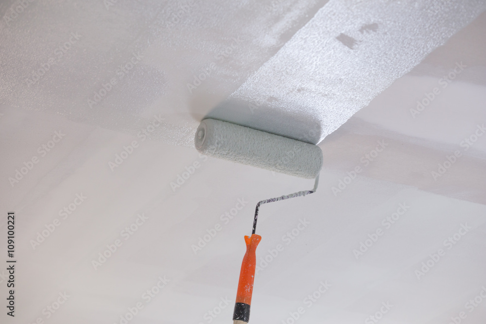 Painting A Gypsum Plaster Ceiling With Roller Foto Poster
