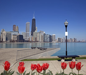 Wall Mural - View of Chicago from the pier with red tulips on front