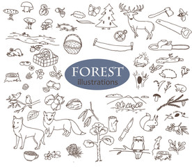 Forest doodles collection. Line art illustrations set