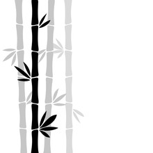 Bamboo Silhouette Isolated On White Background.