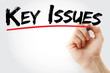 © dizain - Hand writing Key Issues with marker, business concept background