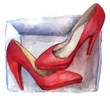 watercolor sketch: red shoes in a box