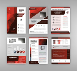 Wall Mural - Business brochure design