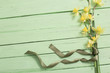 yellow flowers on green wooden background