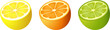 Citrus fruit cut
