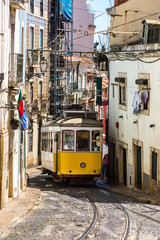 Wall Mural - Lisbon tram