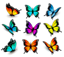 Aufkleber - Collection of colorful butterflies, flying in different directio