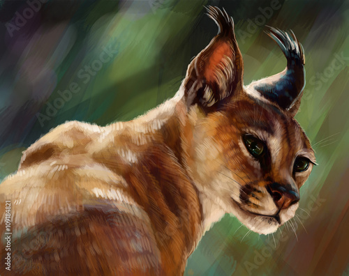 Plakat na papierze fotorealistycznym Caracal, ryś