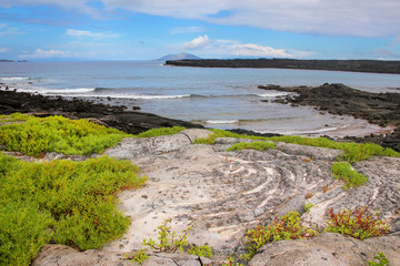 Wall Mural - Coast of Chinese Hat island, Galapagos National Park, Ecuador.