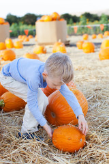 Canvas Print - boy at pumpkin patch