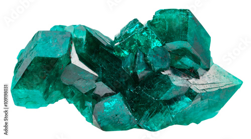 Fotomural druse of emerald-green crystals of dioptase