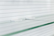 © rudavin - Glass empty shelves
