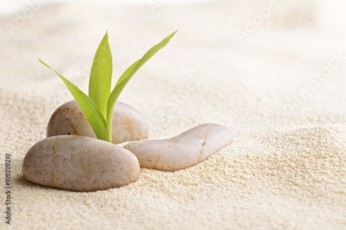 Fototapeta do kuchni zen stones and bamboo on the sand