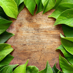 Green spring leaves on wooden background