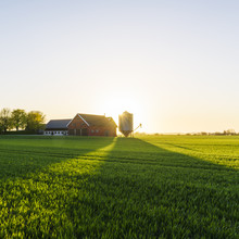 Green Field And Farmhouse