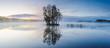 © Johnér - Island with trees on lake, dusk