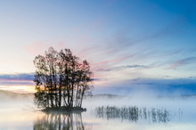 Scenic View Of Island With Silhouette Trees On Lake At Dawn