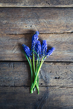 Blue Spring Flowers On A Wooden Background