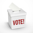 vote word on the 3d white voting box